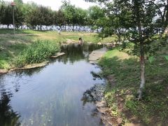 -长白岛森林公园