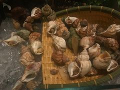 -鲤鱼洲酒店港鲤咖啡厅