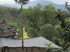 -塔川景区