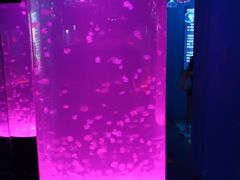 -沙沙哗啦海洋馆(华宇百花谷店)