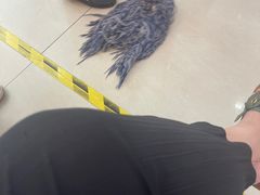 -中国移动(外高桥营业厅)