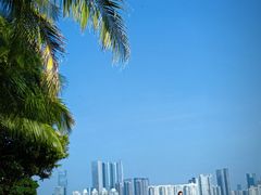 -宝安西湾红树林湿地公园