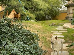 -龙华素斋(龙华路店)