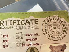 -龙猫仔乐园(惠福东路店)