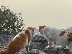 -前叁門
