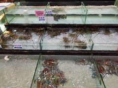 -新海利海鲜城·41年珠海老字号(夏湾店)