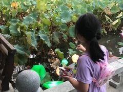 -丝绸小镇荻港古村