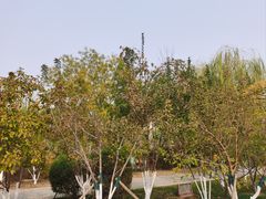 -南翠屏公园