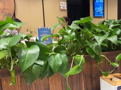 -眉州东坡(春秀路店)