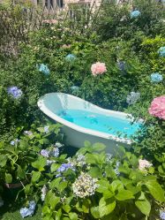 -WAVE SODA摄影工作室