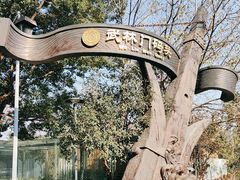 -运河游船(武林门码头)