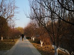 -元大都城垣遗址公园