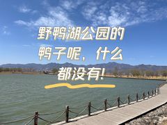 -野鸭湖国家湿地公园