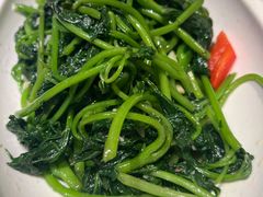 苕尖清炒-刘胖子家常菜·蹄花焖藕(兴业店)