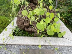 -广州神农草堂中医药博物馆