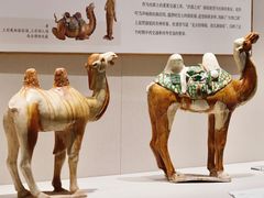 -深圳博物馆(古代艺术馆)