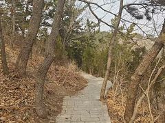 -西尖山公园