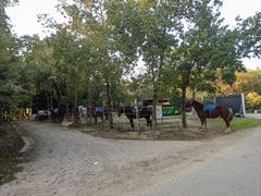 -上海海湾国家森林公园