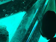 -斯卡拉演艺集团