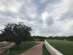 -北京国家会计学院