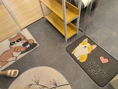 -有喵·猫咖·狗咖·30几只猫10只小狗(岗厦店)