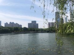 -后襄河公园