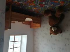 -金山农民画村-枫泾波兰倒置屋