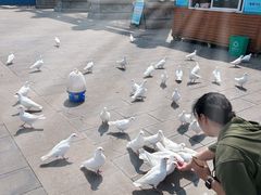 -天津妈祖文化园