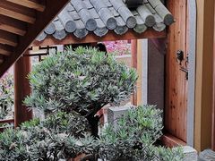 -杭州上天竺法喜讲寺
