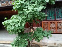 -自贡市盐业历史博物馆