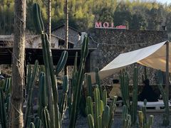 -MOJ coffee(瓯海泽雅水碓坑店)