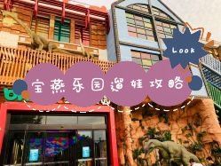 -宝燕乐园(闵行旗舰店)