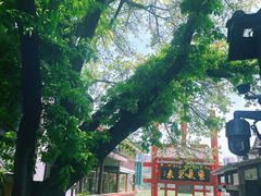 -磁器口古镇