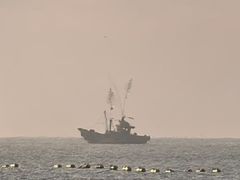 -日照海滨国家森林公园