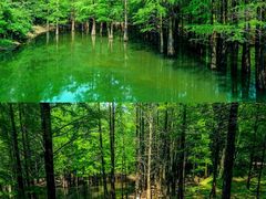 -青龙山国家森林公园