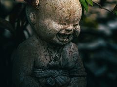 -西双版纳傣族园