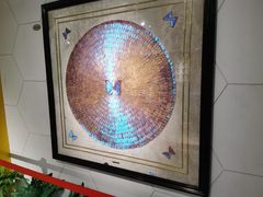 -上海昆虫博物馆