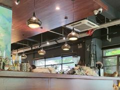 -咖法森林·咖啡  酒吧(天河店)