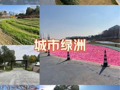 -春花秋色城市公园