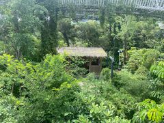 -梅峰山地公园