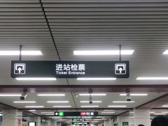 -合肥火车站(地铁站)