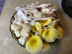 黄金菇-仙蘑洞