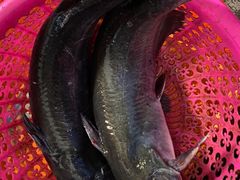 -古城苗家土菜馆(河景餐厅店)