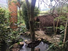 -海南槟榔谷黎苗文化旅游区