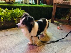-一杯海(国际海水浴场店)