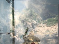 -十渡高山漂流