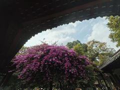 -成都杜甫草堂博物馆