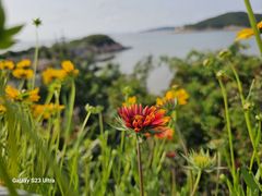 -宁波松兰山滨海旅游度假区