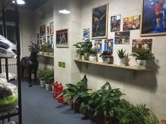 -格斗兄弟搏击健身训练馆(望京店)