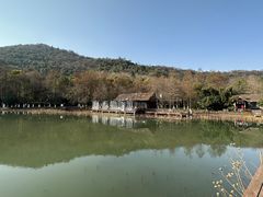 -八卦田遗址公园